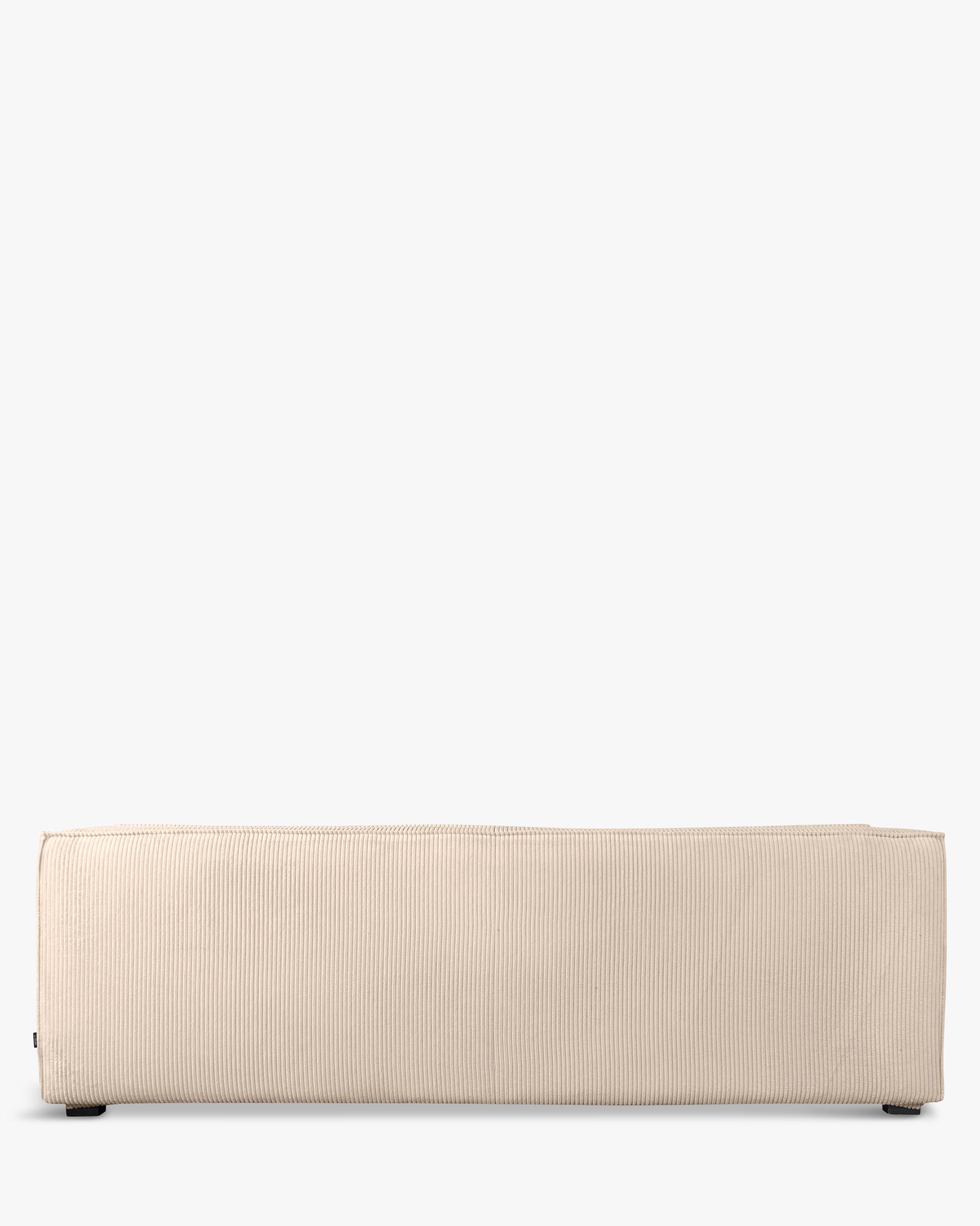 Auster