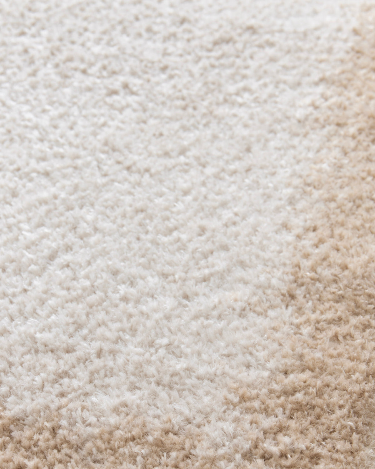 gros plan sur le dégradé de l'écru au beige dans le velours soyeux du tapis SENNEN